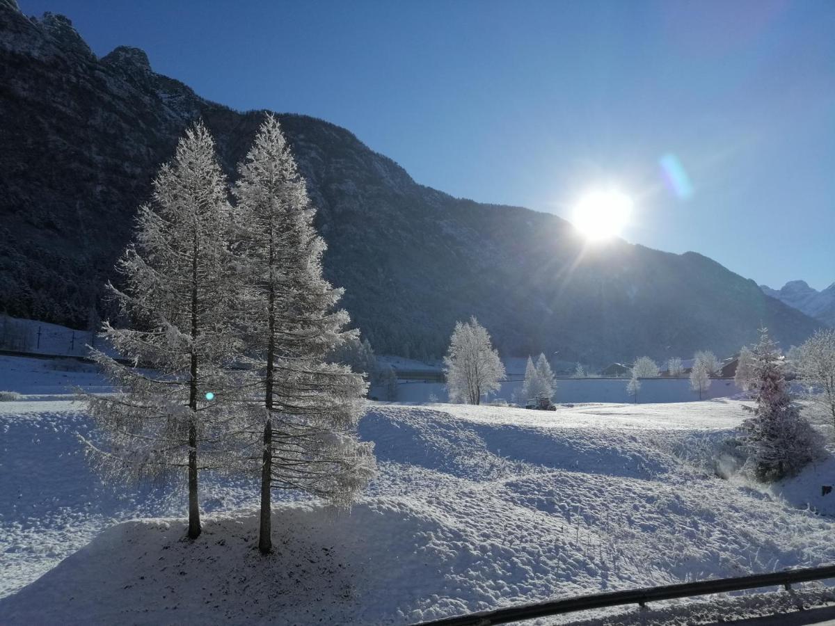 Ai Larici Hotel Perarolo di Cadore Ngoại thất bức ảnh